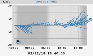 Wind Vector