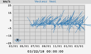 Wind Vector